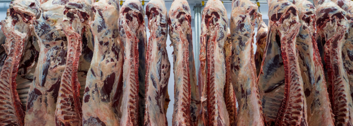 Racks of meat hanging in a fridge